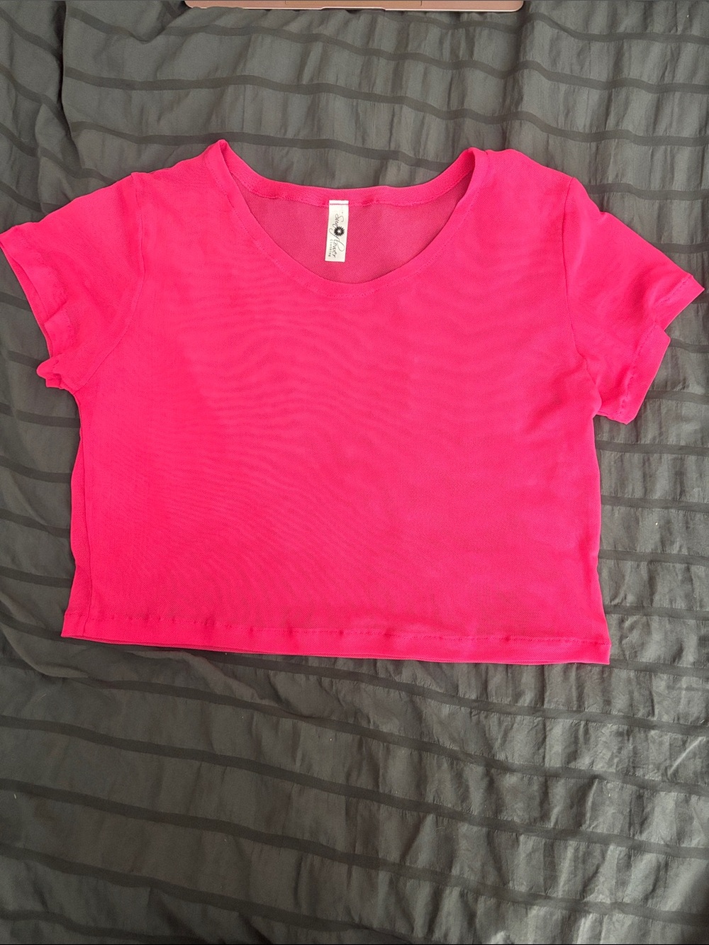 Bright Pink sheer netted Crop Tee